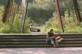 Pratt Institute